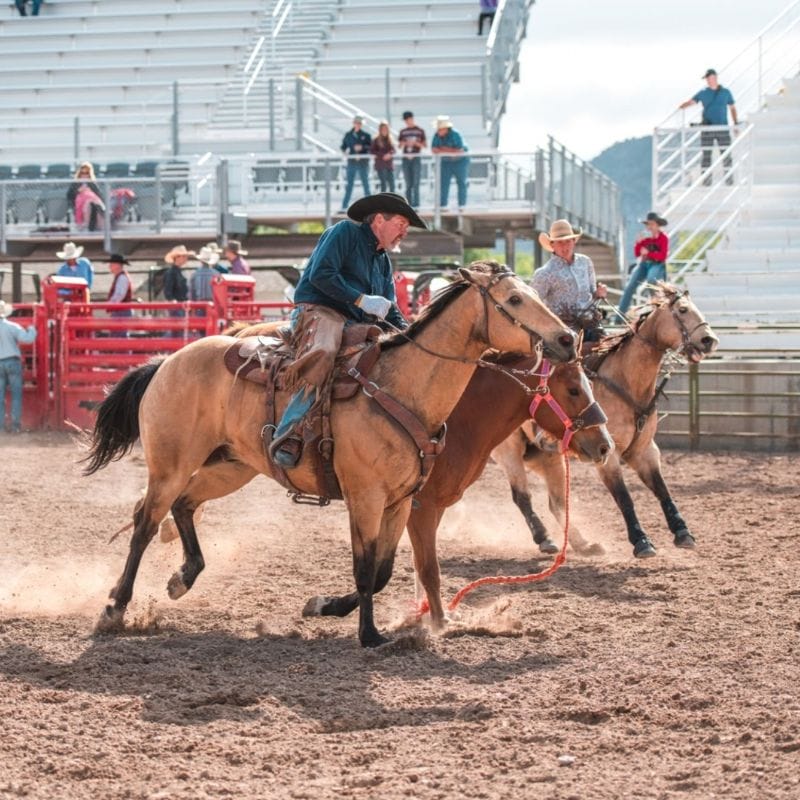 Rev Up Your Style with Extra Style Chaps Motorcycle Apparel