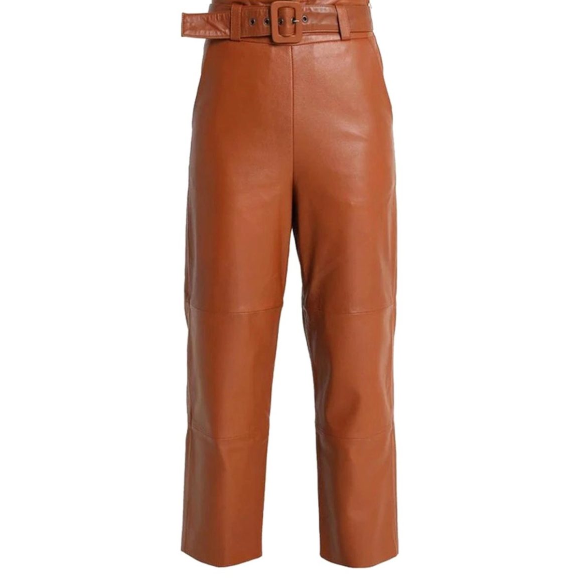 Terra Brown Leather Pants